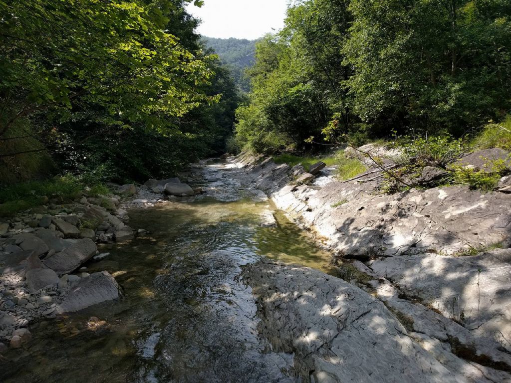 Differenze colossali di sviluppo e tempi di deposizione...